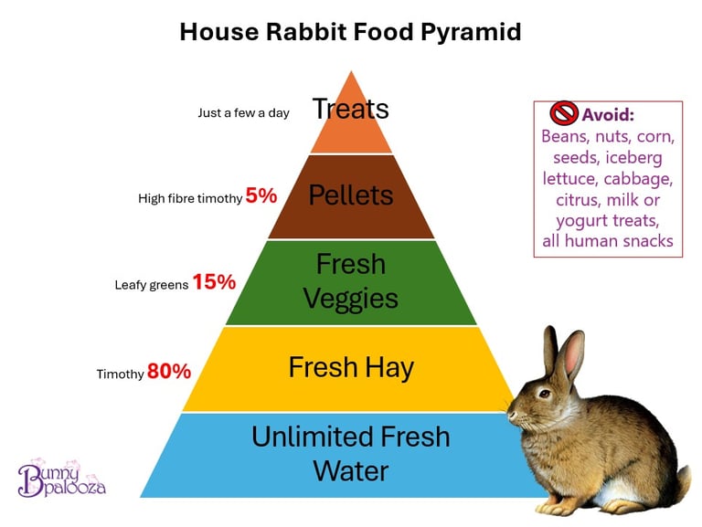 Food Pyramid