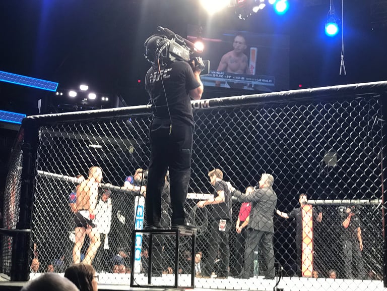 MMA Referee Hadi Mohamed Ali