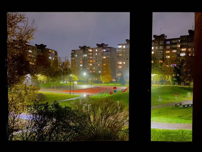 Vaizdas pro langą 4 kambarių bute Šarkuvos g. Kaune - NT brokeris Andrius Velykis