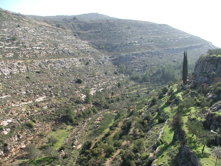 Farming in Bethlehem