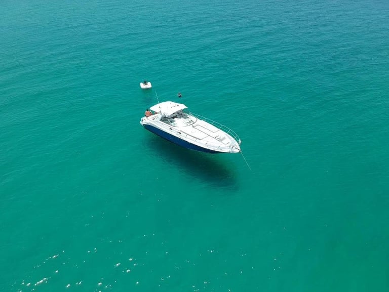 Sea Ray 47 yate renta cabo san lucas