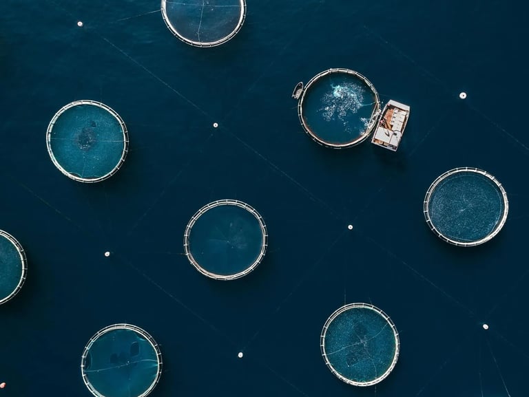 Aerial photo of a fish farm in Croatia
