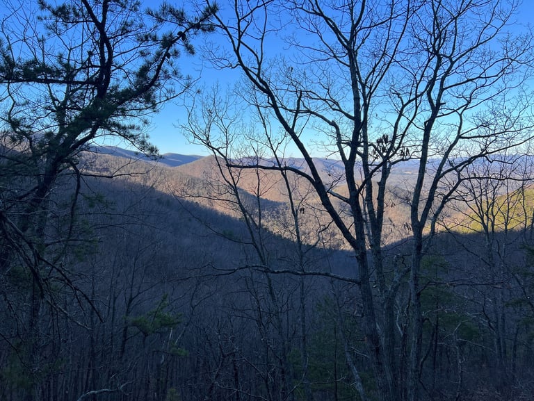 a view of a mountain range with trees and mountains in the background from spec mine trail