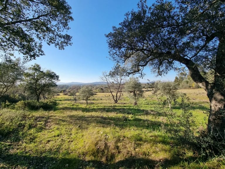 Boerderij in Portugal met uitzicht op de Bergen 