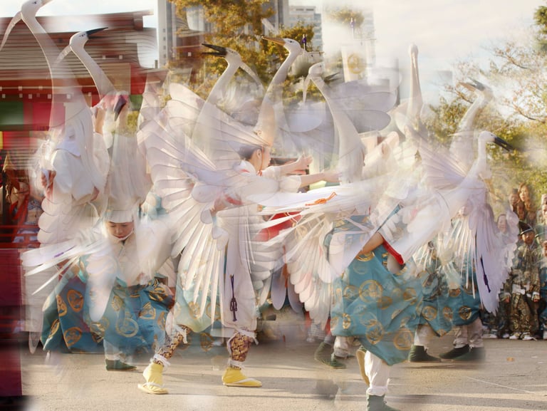 digital photo montage print crane dance Japan photography