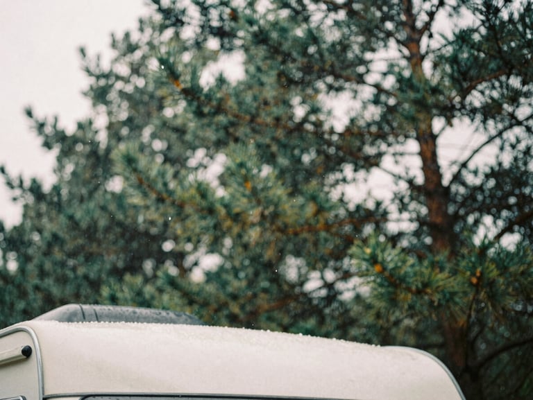 Raindrops on a camper van skylight, looking up at blurred pine trees, overcast moody daylight, film grain.
