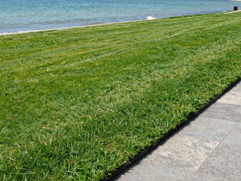 Lush freshly mowed lawn under bright coastal daylight, sharp green grass texture, clean edges near a stone pathway.
