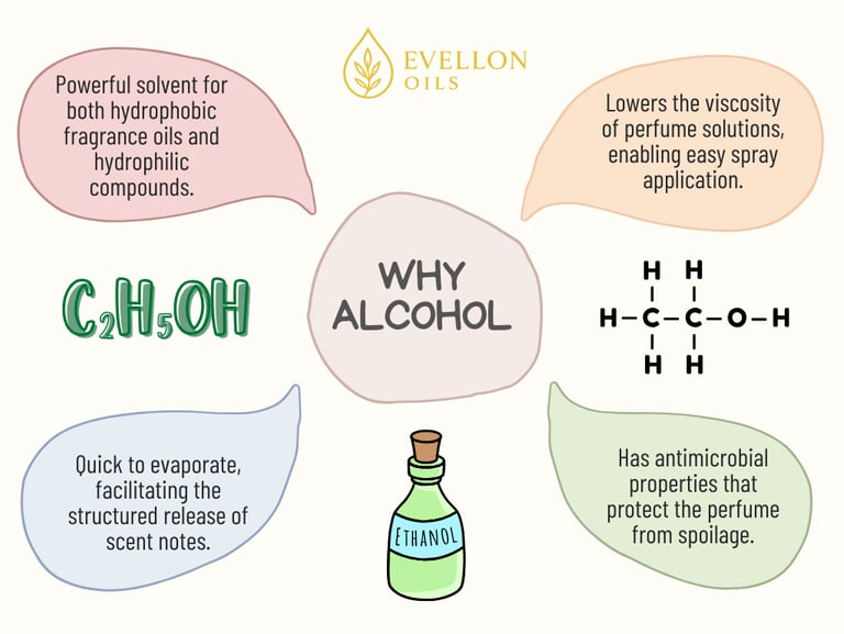 Infographic explaining why alcohol is used in perfume, with benefits and Evellon Oils branding.