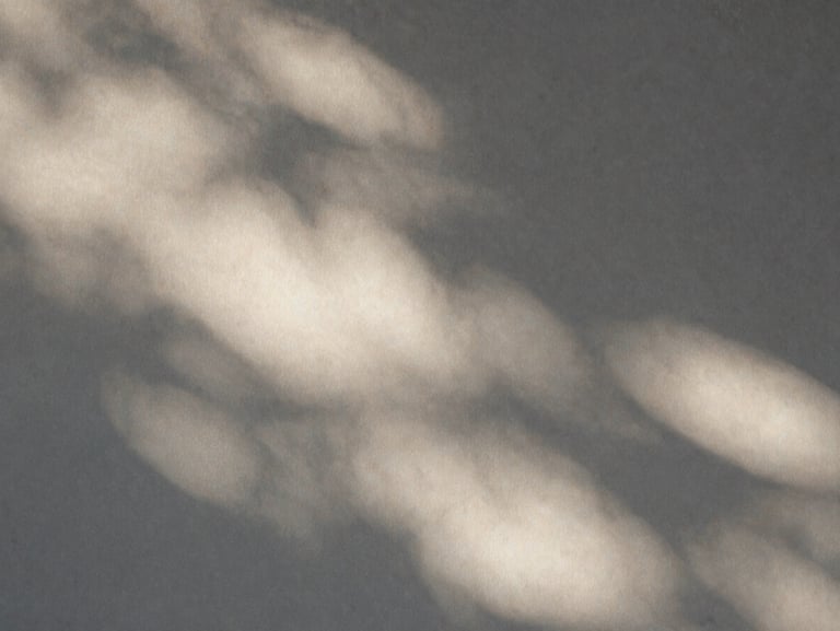 Abstract light play on a light warm gray wall, soft-focus shadows of foliage, low-contrast natural morning light