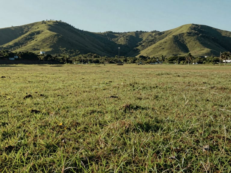 Wide environmental view of a grassy flat land lot in Saquarema, green hills in the background, bright daylight.