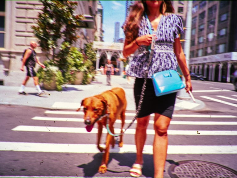 NYC walking dog | rollbak | Photographe mariage Hauts de France