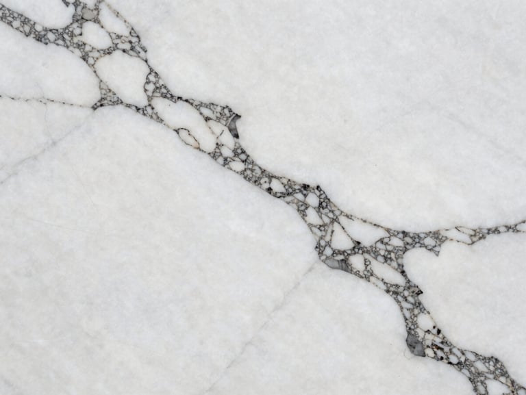 Close-up of raw white marble slab with dramatic charcoal veining, elegant matte finish, natural light.
