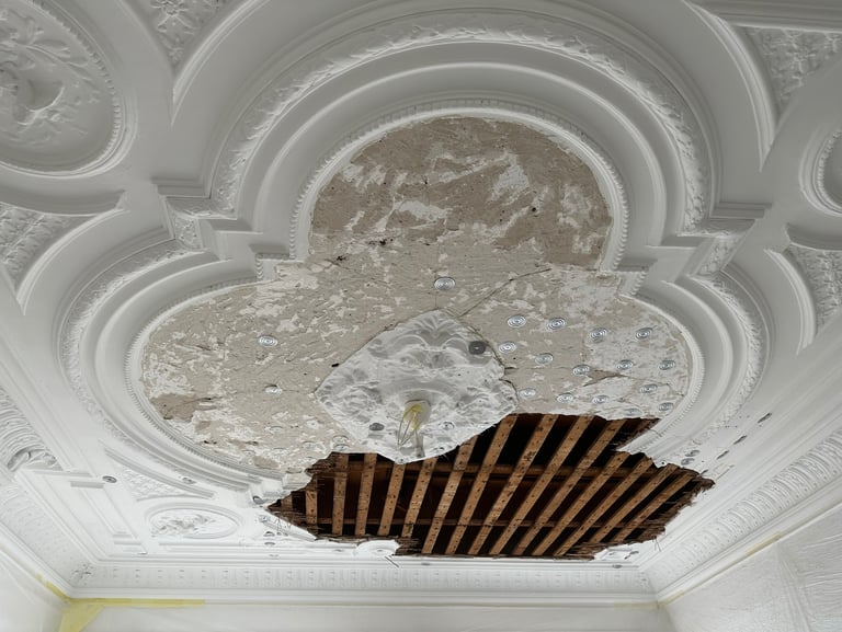 Ornamenten plafond restauratie in Den Haag