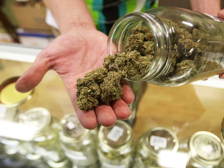 Cannabis Shop in Malta handing out weed