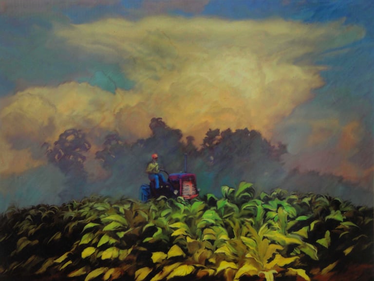 Bright Leaf Tobacco tractor farming