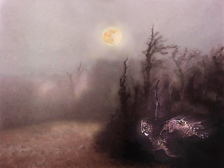 owl in the moon painting