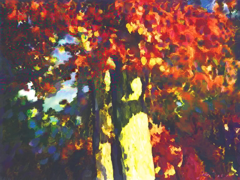 Red Oak tree landscape