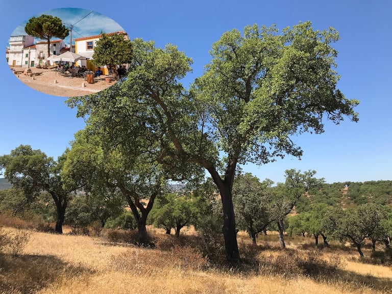 Foto van Natuurpark in Centraal Portugal