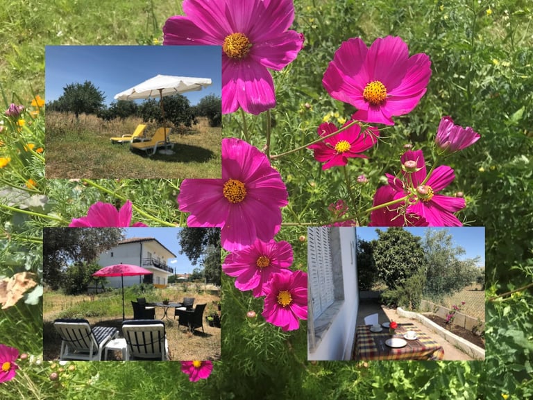 foto zitjes Landgoed Vivenda Marques