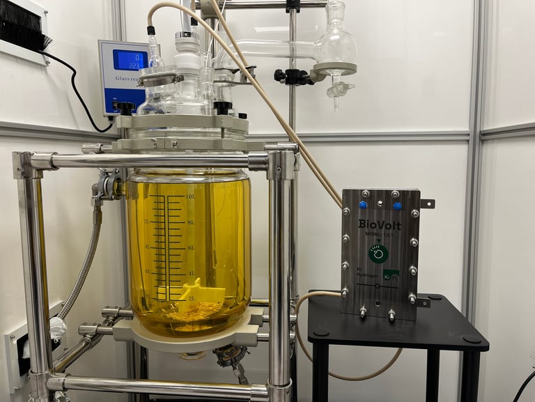 Ki Hydrogen Biomass Electrolyser Test Rig