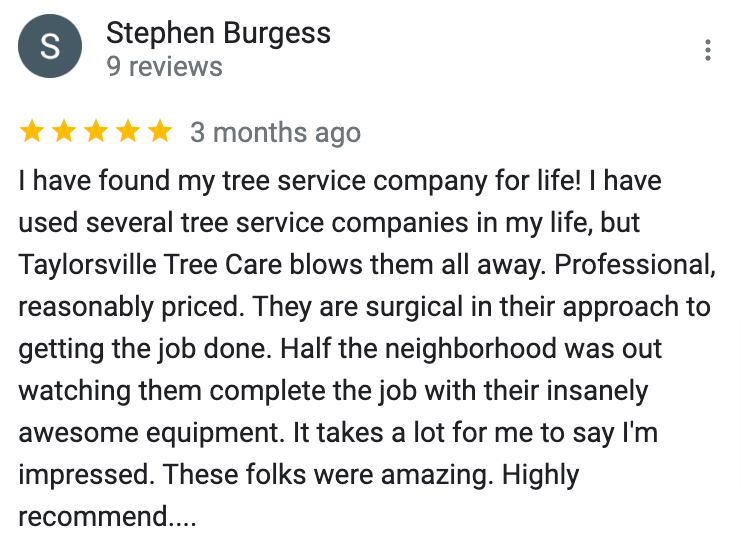 Google Review Tree Service Statesville NC
