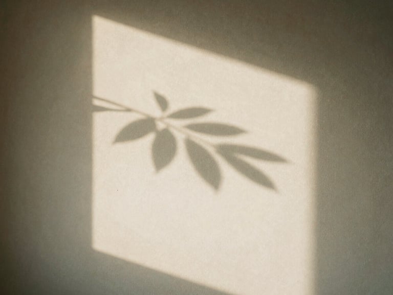 A soft shadow cast on a textured plaster wall by a leafy branch, warm daylight, quiet mood