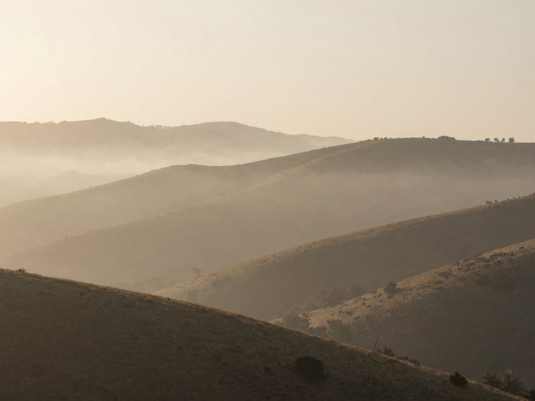 Contemplative natural space with soft morning fog rolling over quiet hills, muted earthy tones, shallow depth of field