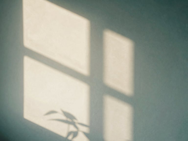 Soft diffused window light casting leaf shadows on a concrete wall, minimalist, warm teal tones, 35mm