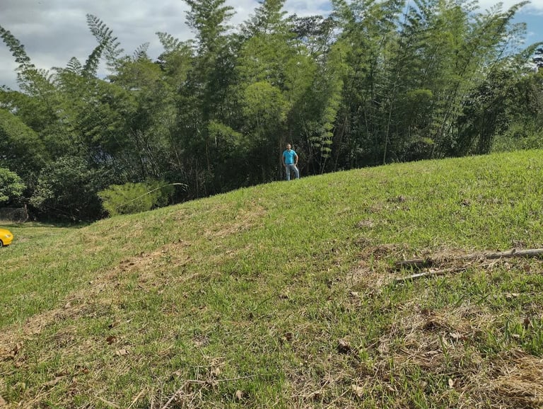 topografía inclinación terreno lote en venta en nocaima