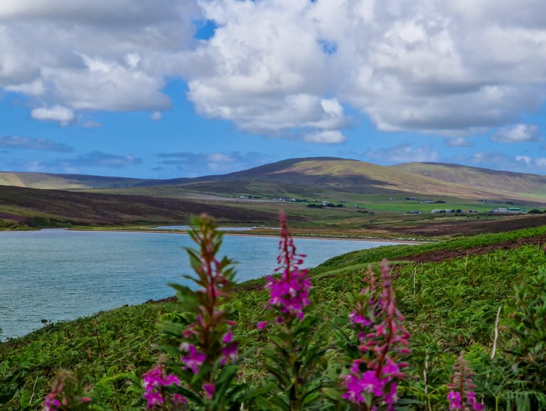 Waulkmill Bay