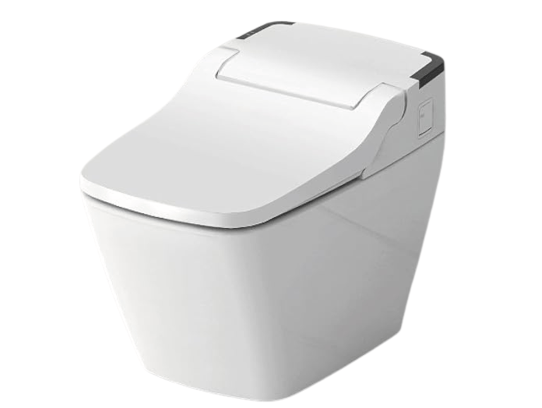 VOVO Shower Toilet