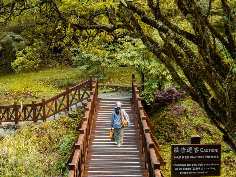 Alishan, Taiwan