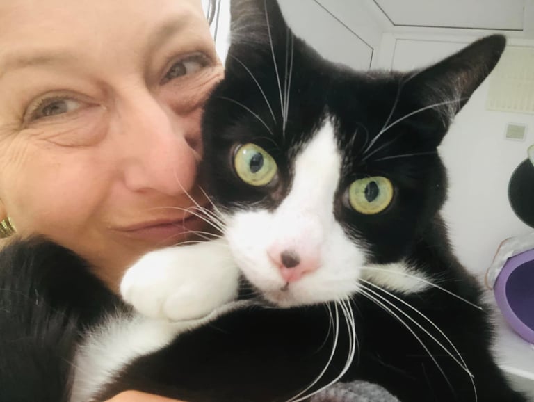 Kerry at Clarence's Cattery