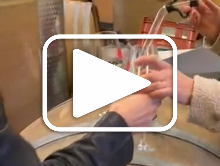 Wine tasting from the barrel