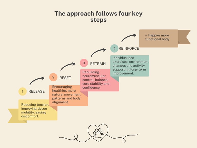 canine functional fitness