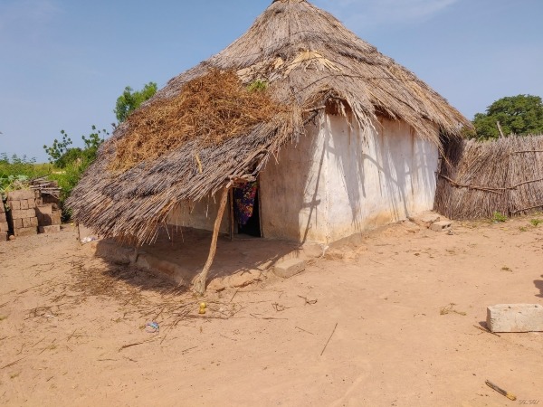 Traditional thatched roof house in a village | Birding Adventures Gambia