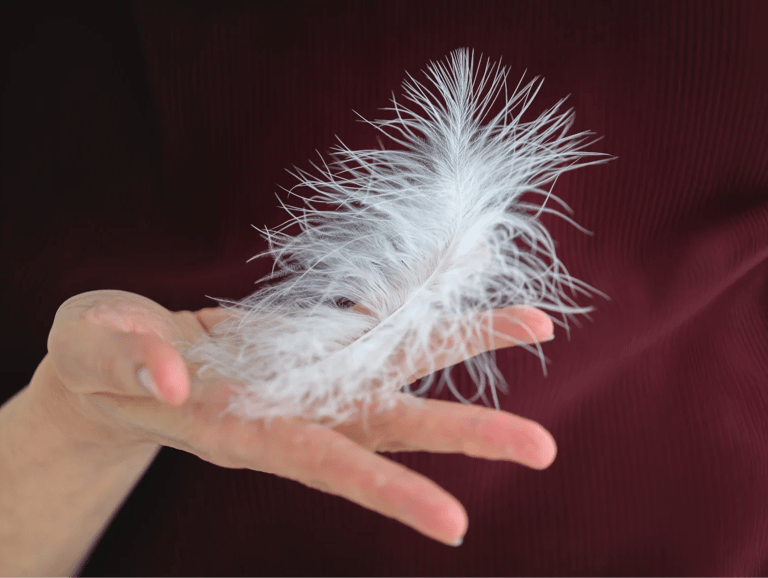 ThetaHealing mokymai - balta plunksna