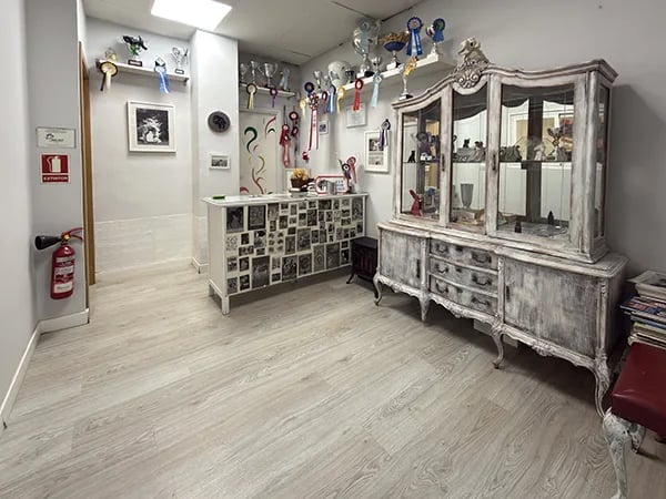 sala de espera de Peluquería Canina Truka