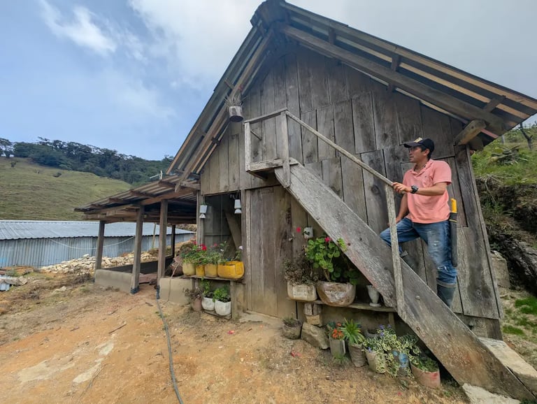 A man in a pink shirt stands on the wooden stairs of a rustic farm cabin with potted plants.