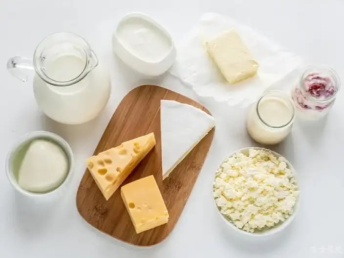 Dairy - Cold Rooms : Cheese, Butter storage, Curd Incubator & Curd Chilling