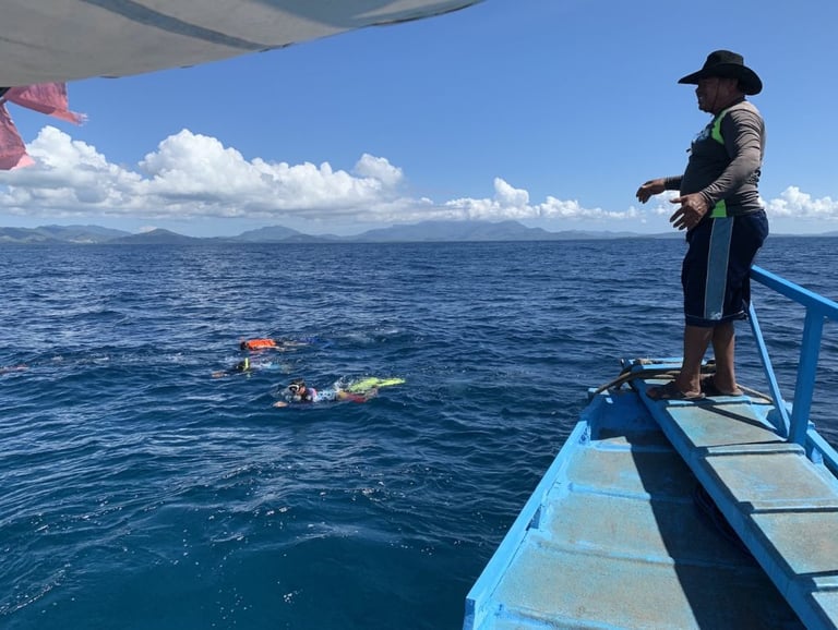 swimming with the whale shark Puerto Princesa Palawan