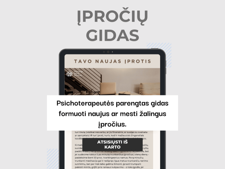 Gabija Petravičė, įpročių gidas pagal kognityvinę elgesio terapiją