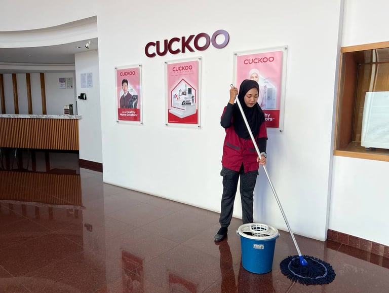 iccs cleaning solution