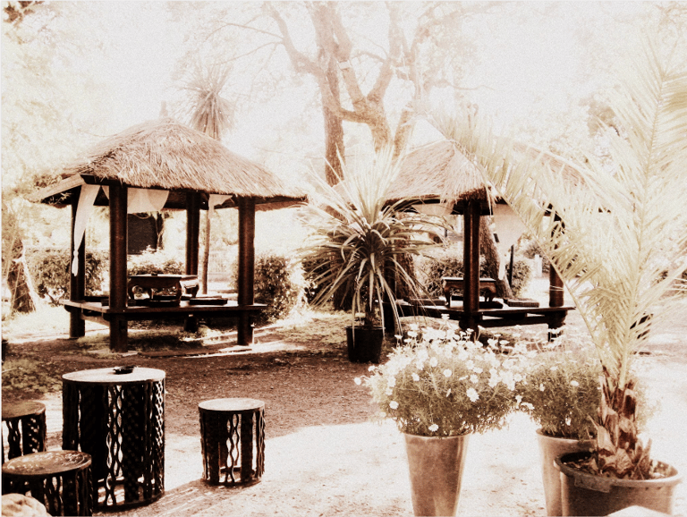 Expo Chez Monette