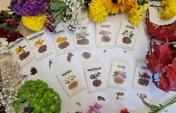essential seeds for apocalyptic regrowth