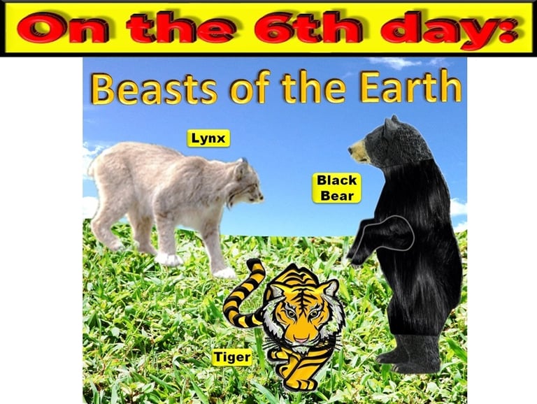 Beasts of the earth on the 6th day designed by Debbie Dunn using PowerPoint & Paint