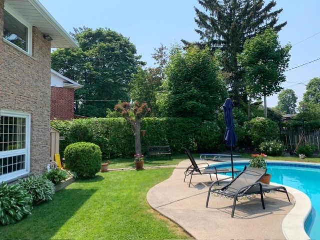 Backyard patio with an inground swimming pool, lounge chairs, and lush green landscaping.