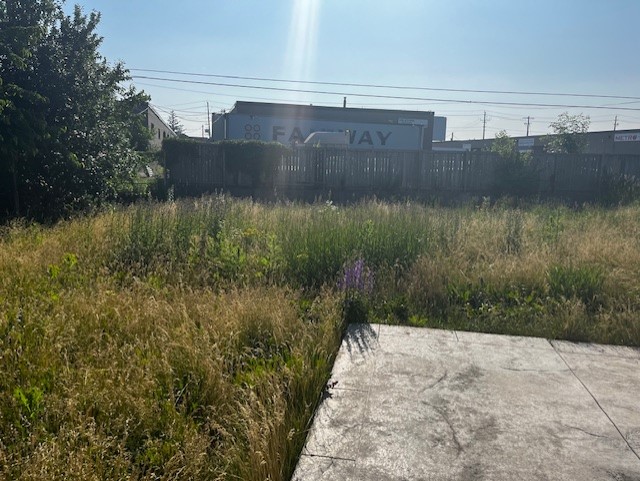 Overgrown grassy field and concrete pad near an industrial warehouse with commercial buildings.