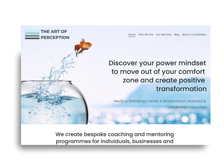Screenshot of the Art of Perception website