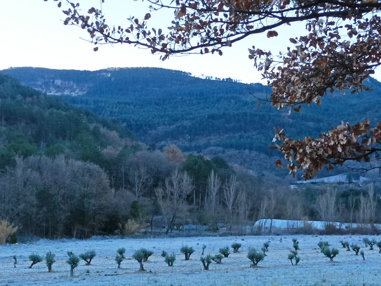 Our valley was coated in frost. as we left.